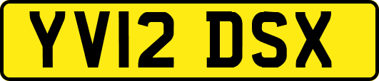 YV12DSX