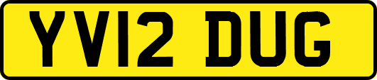 YV12DUG