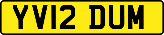 YV12DUM