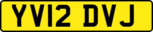 YV12DVJ