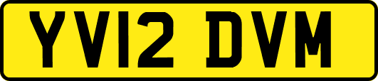 YV12DVM