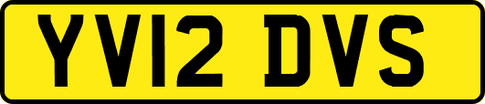 YV12DVS