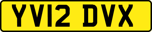YV12DVX