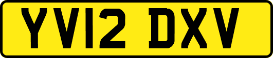 YV12DXV