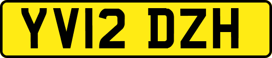YV12DZH