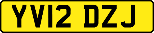 YV12DZJ