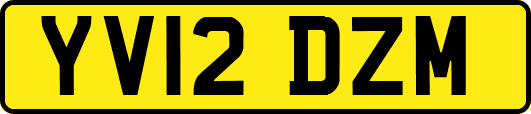 YV12DZM
