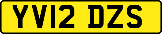 YV12DZS
