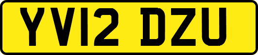 YV12DZU