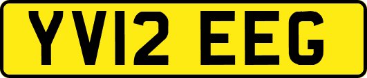 YV12EEG