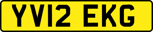 YV12EKG