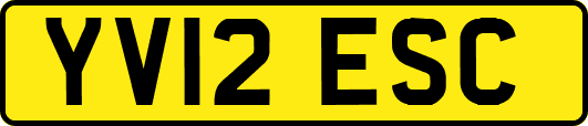 YV12ESC