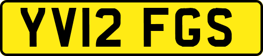YV12FGS