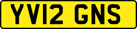 YV12GNS