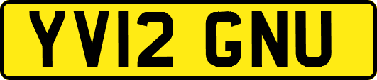 YV12GNU