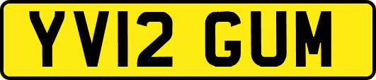 YV12GUM