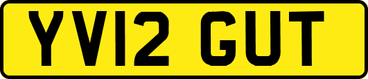 YV12GUT