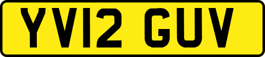 YV12GUV