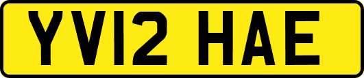 YV12HAE