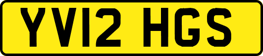 YV12HGS