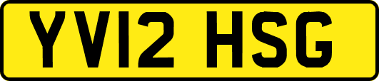 YV12HSG