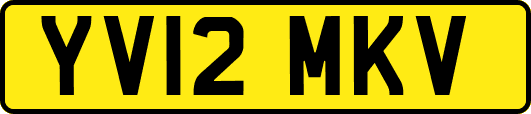 YV12MKV