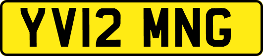 YV12MNG