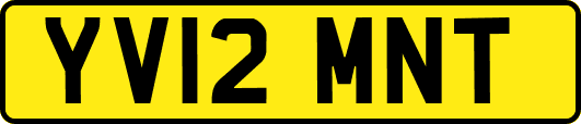 YV12MNT