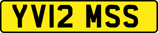 YV12MSS
