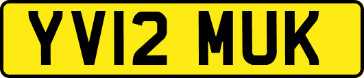 YV12MUK