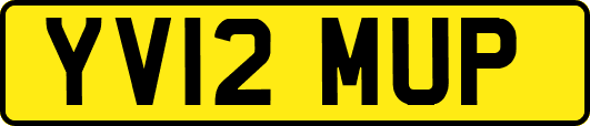 YV12MUP