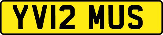 YV12MUS