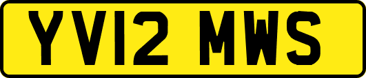 YV12MWS