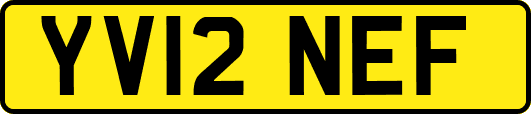 YV12NEF