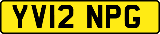 YV12NPG