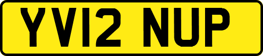 YV12NUP