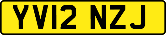 YV12NZJ