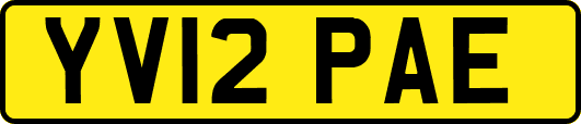 YV12PAE