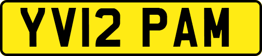 YV12PAM