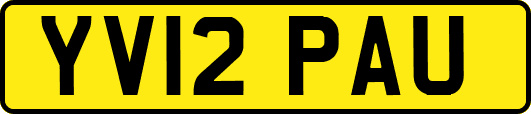 YV12PAU