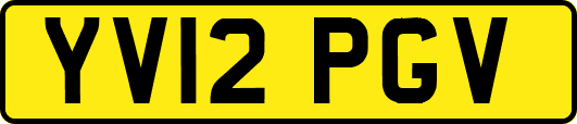 YV12PGV