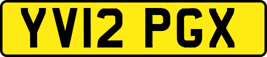 YV12PGX