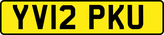 YV12PKU
