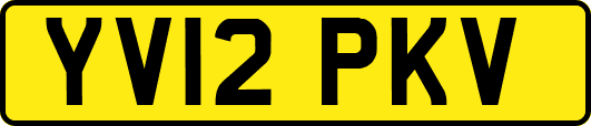 YV12PKV
