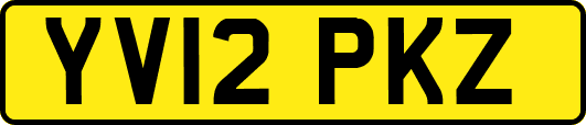 YV12PKZ