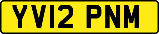 YV12PNM