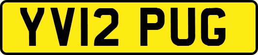 YV12PUG