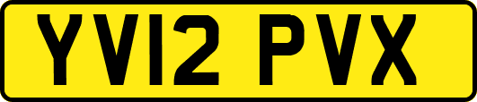 YV12PVX