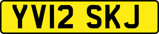 YV12SKJ