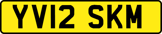 YV12SKM